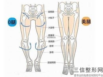 自體脂肪填充淚溝一般多少錢(自體脂肪填充淚溝大概價格參考表)