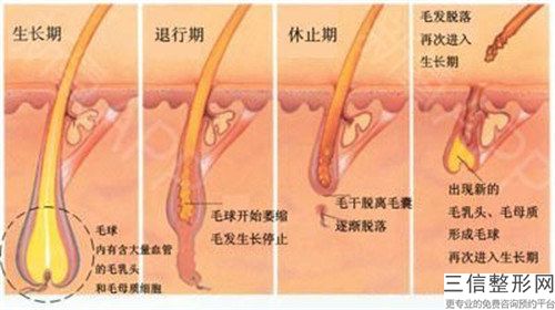 蘇州市整形毛發(fā)移植推薦這四個醫(yī)生-白立明醫(yī)生評價高