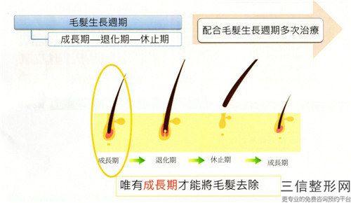 哈爾濱市新生毛發種植三甲排名榜前六口碑推薦（哈爾濱市新生毛發種植整形醫院）