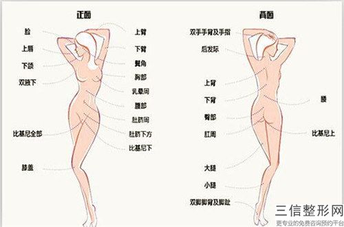 全國脫發了植發醫院推薦：脫發了植發醫院前50點擊查看